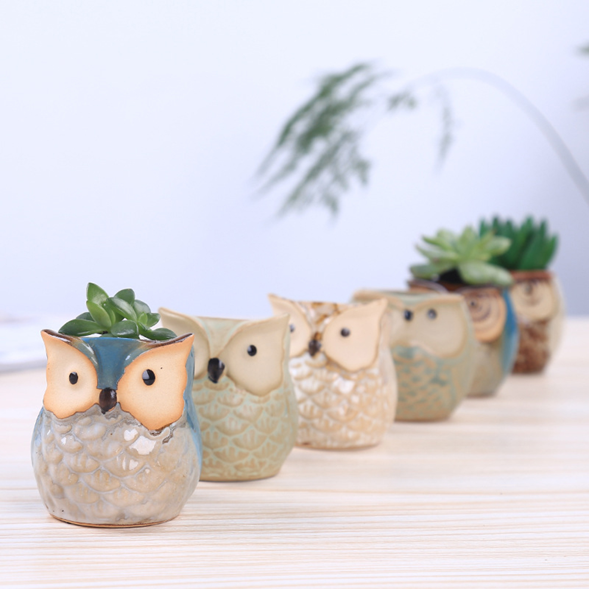 Mini Bonsai Zen Garden - Home Garden Supplies Decoration Ceramic Flowerpots