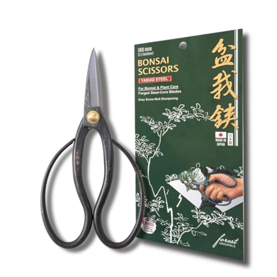 SenkichiKin Bonsai Scissors 7i - огляд і ціна Japan Bonsai Garden