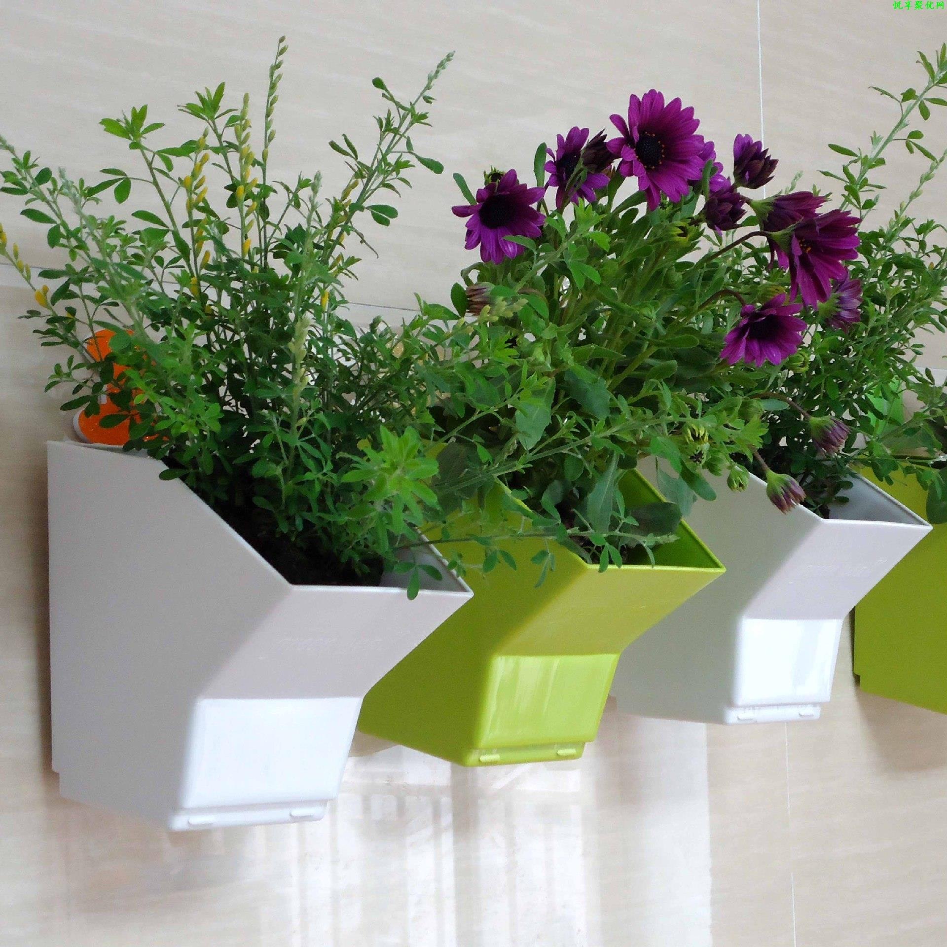 2 pcs Wall Hanging Planter Flo - огляд і ціна Bonsai Vertical Garden