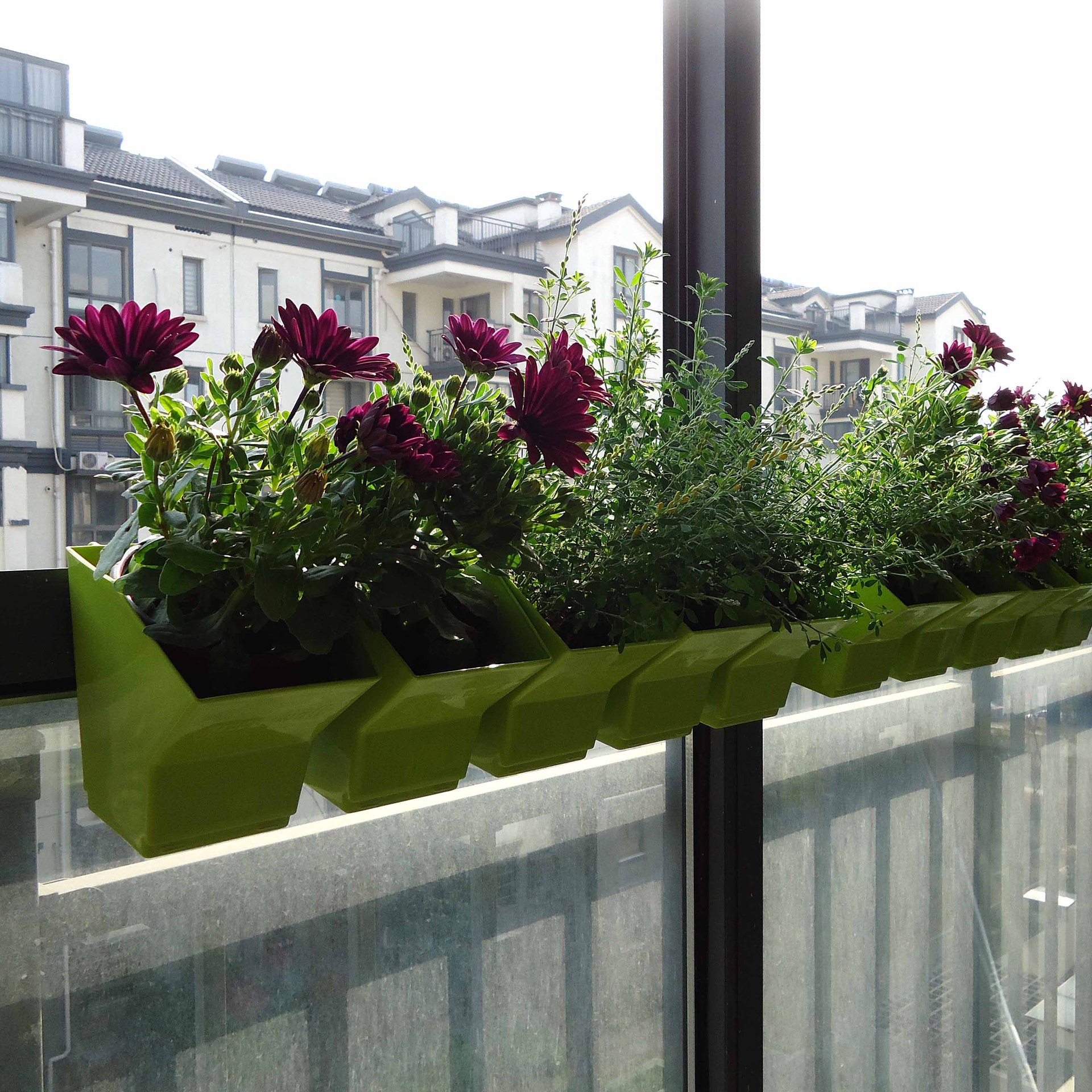 2 pcs Wall Hanging Planter Flo - огляд і ціна Bonsai Vertical Garden