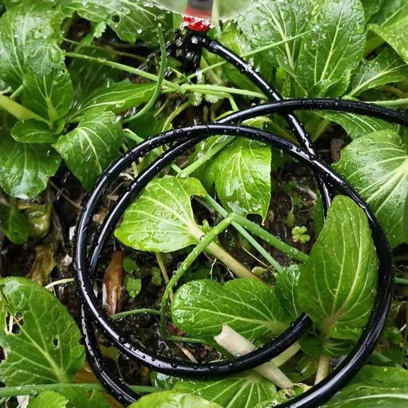 Garden Watering 4/7mm Hose PVC - огляд і ціна Bonsai Garden Youtube