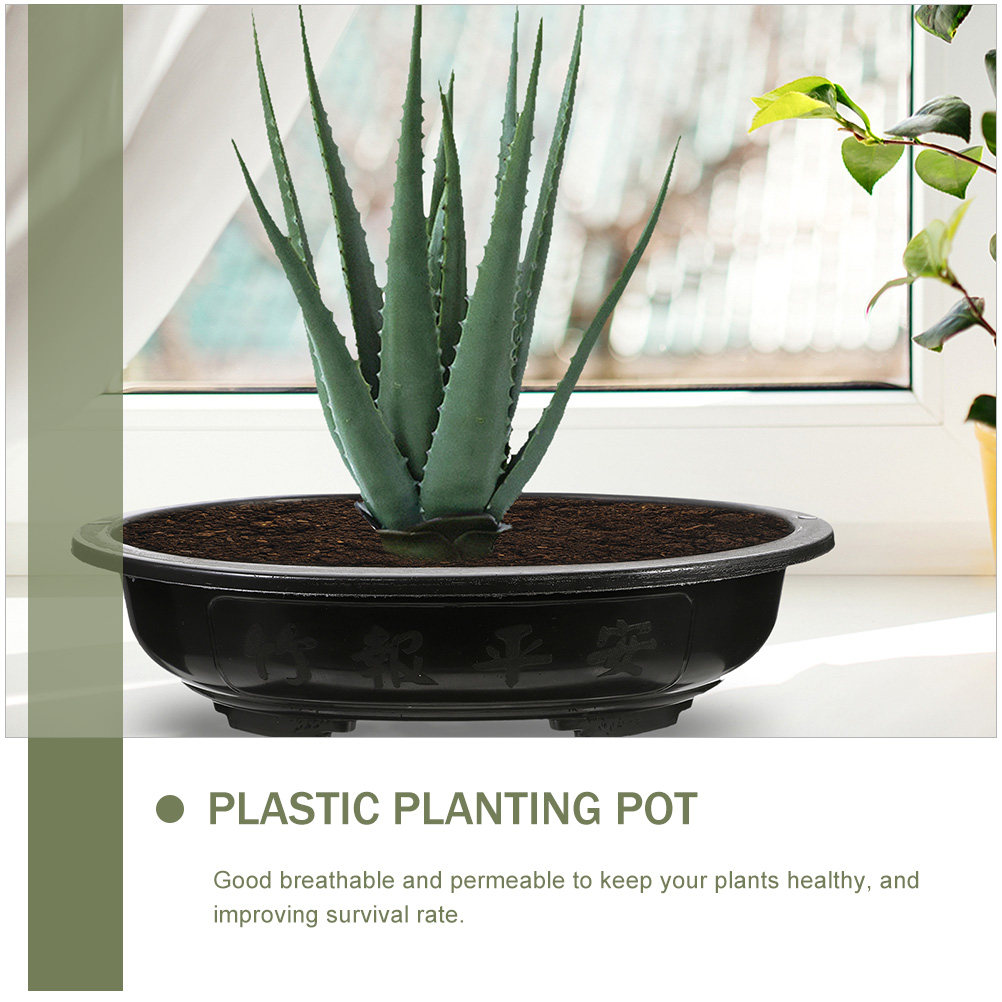 4Pcs Oval Bonsai Flowerpot Hig - огляд і ціна Bonsai Vertical Garden