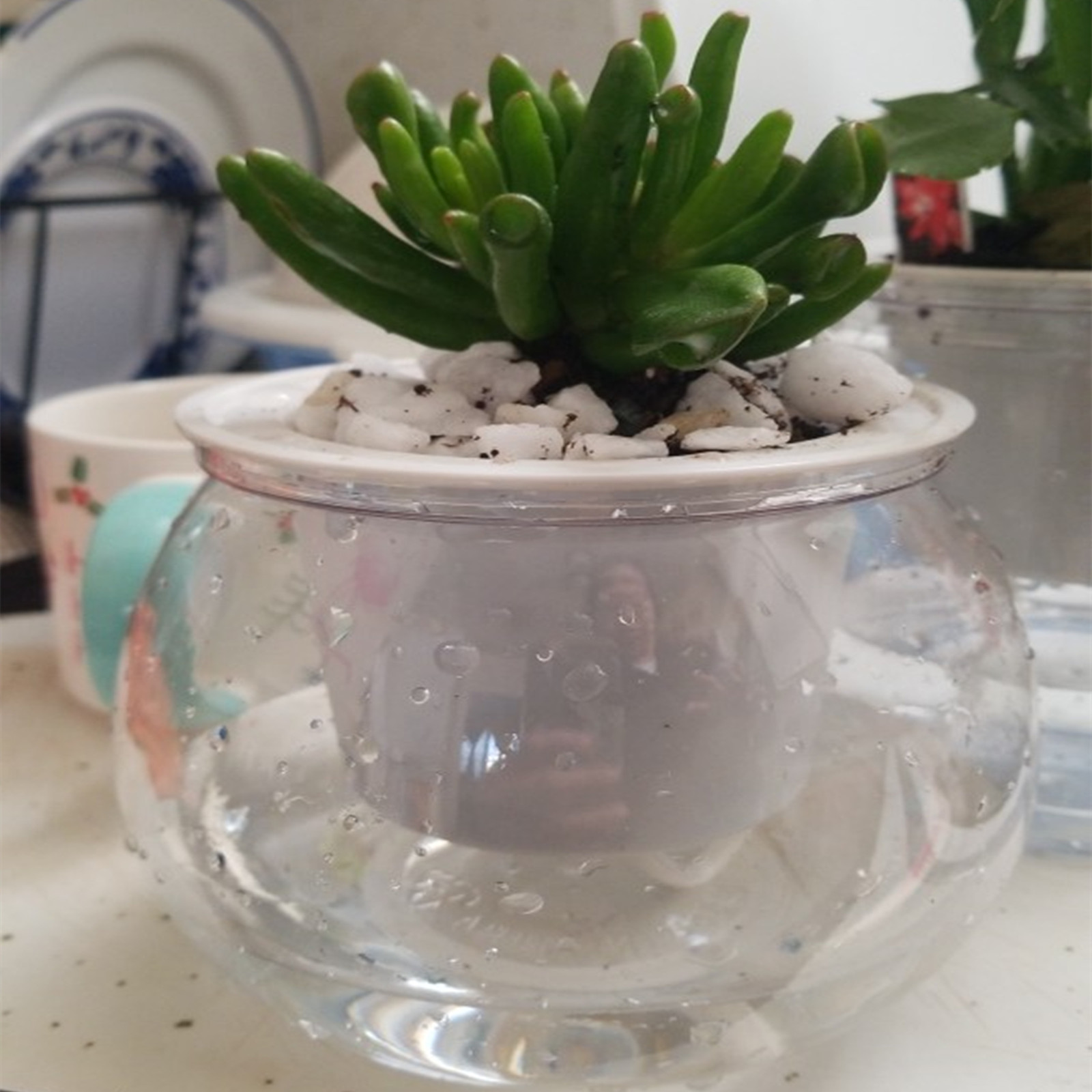 Self Watering Planter Pots Min - огляд і ціна Mini Bonsai Zen Garden