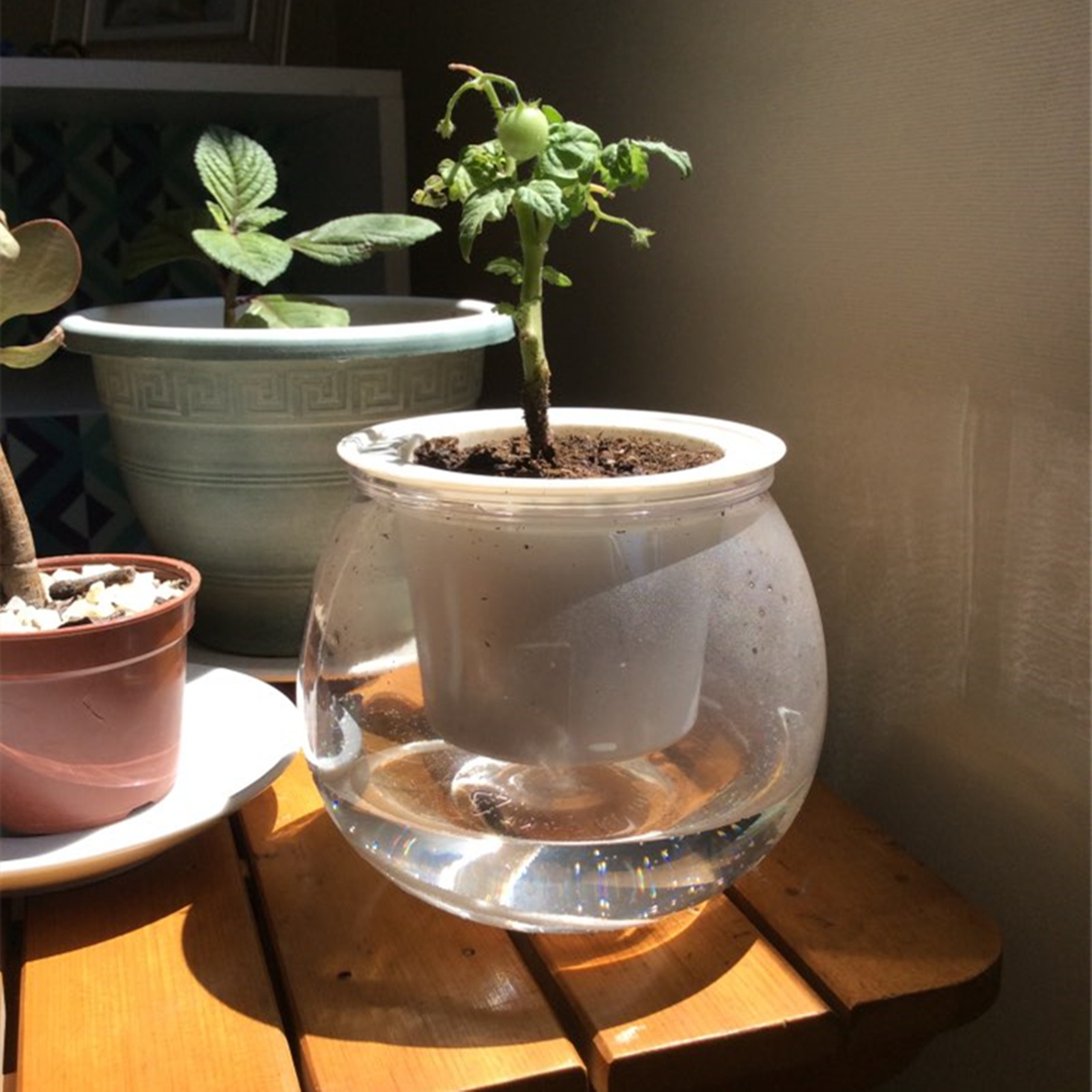 Self Watering Planter Pots Min - огляд і ціна Mini Bonsai Zen Garden