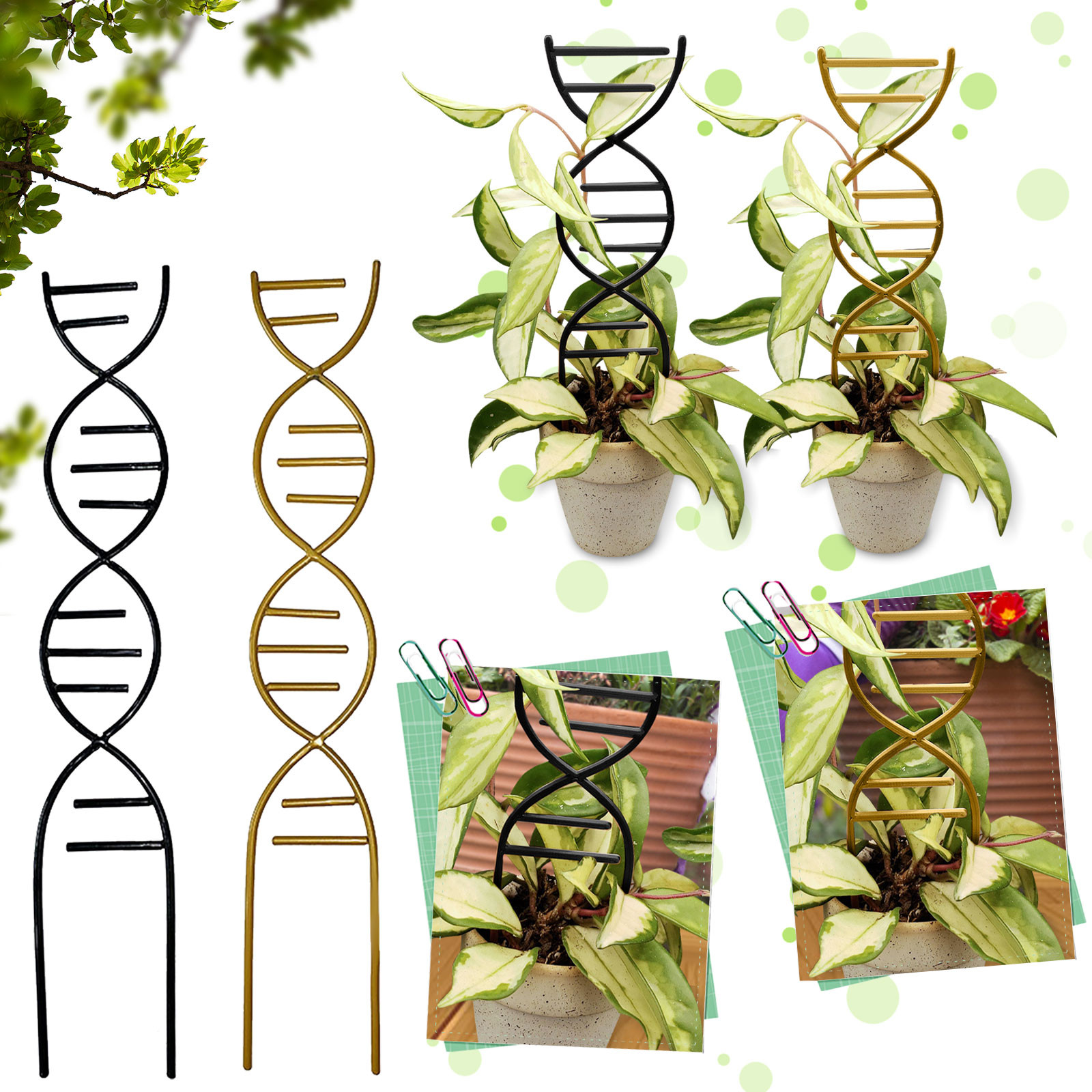 Plant Climbing Support Gardens - огляд і ціна Bonsai Garden Accessories