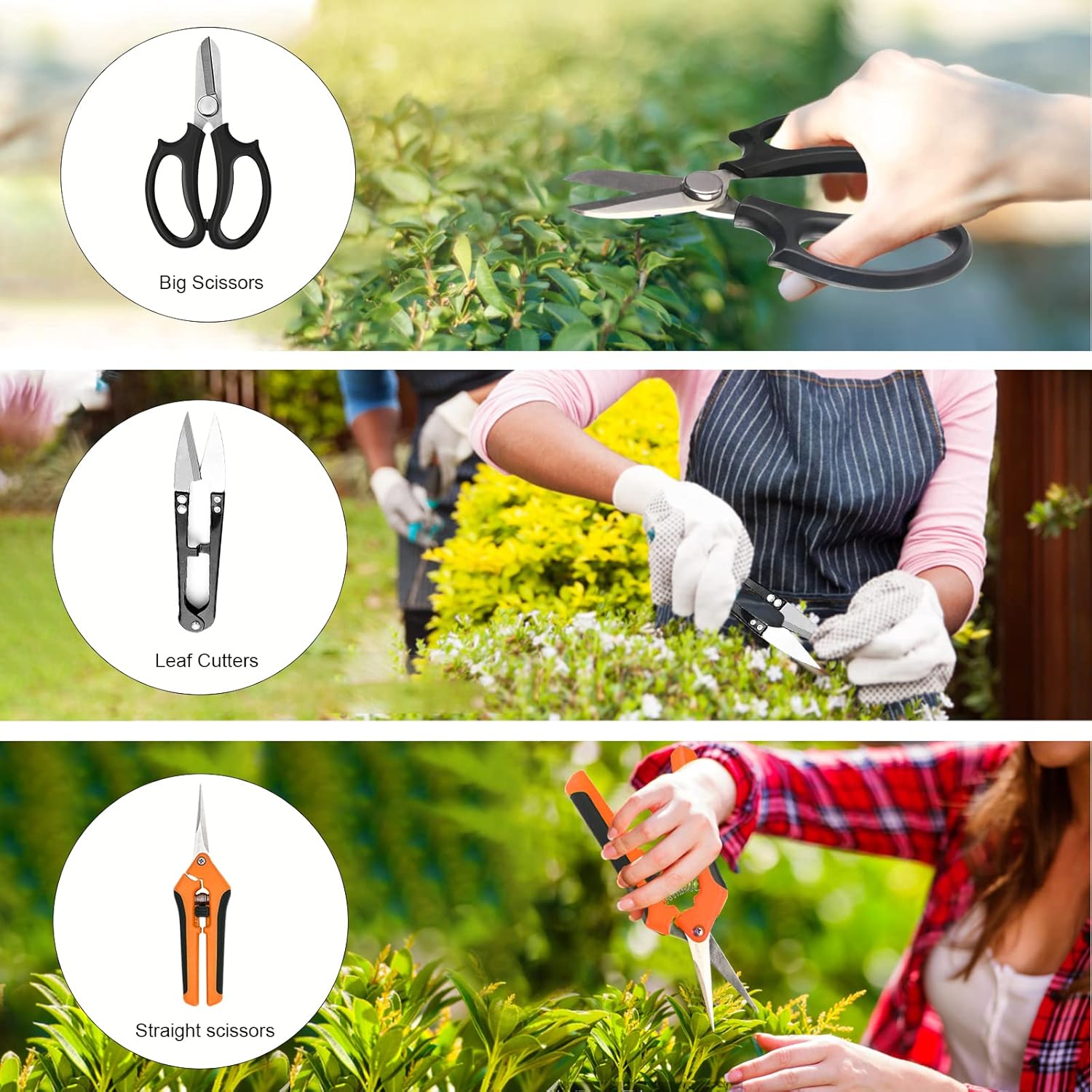 20-Piece Bonsai Tool Kit with  - огляд і ціна Bonsai Garden Images
