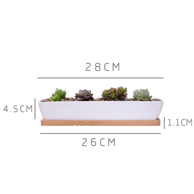 Long Rectangle White Ceramic S - огляд і ціна Mini Bonsai Zen Garden
