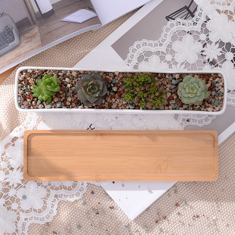 Long Rectangle White Ceramic S - огляд і ціна Mini Bonsai Zen Garden