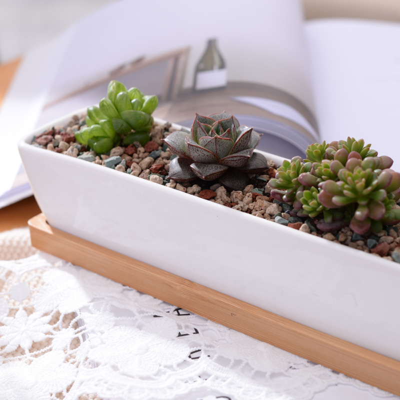 Long Rectangle White Ceramic S - огляд і ціна Mini Bonsai Zen Garden