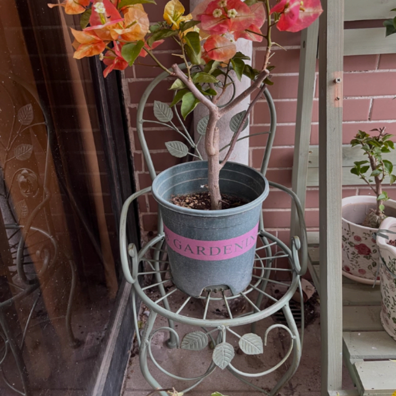 Iron Rose Flower Stand Stool V - огляд і ціна Bonsai Vertical Garden