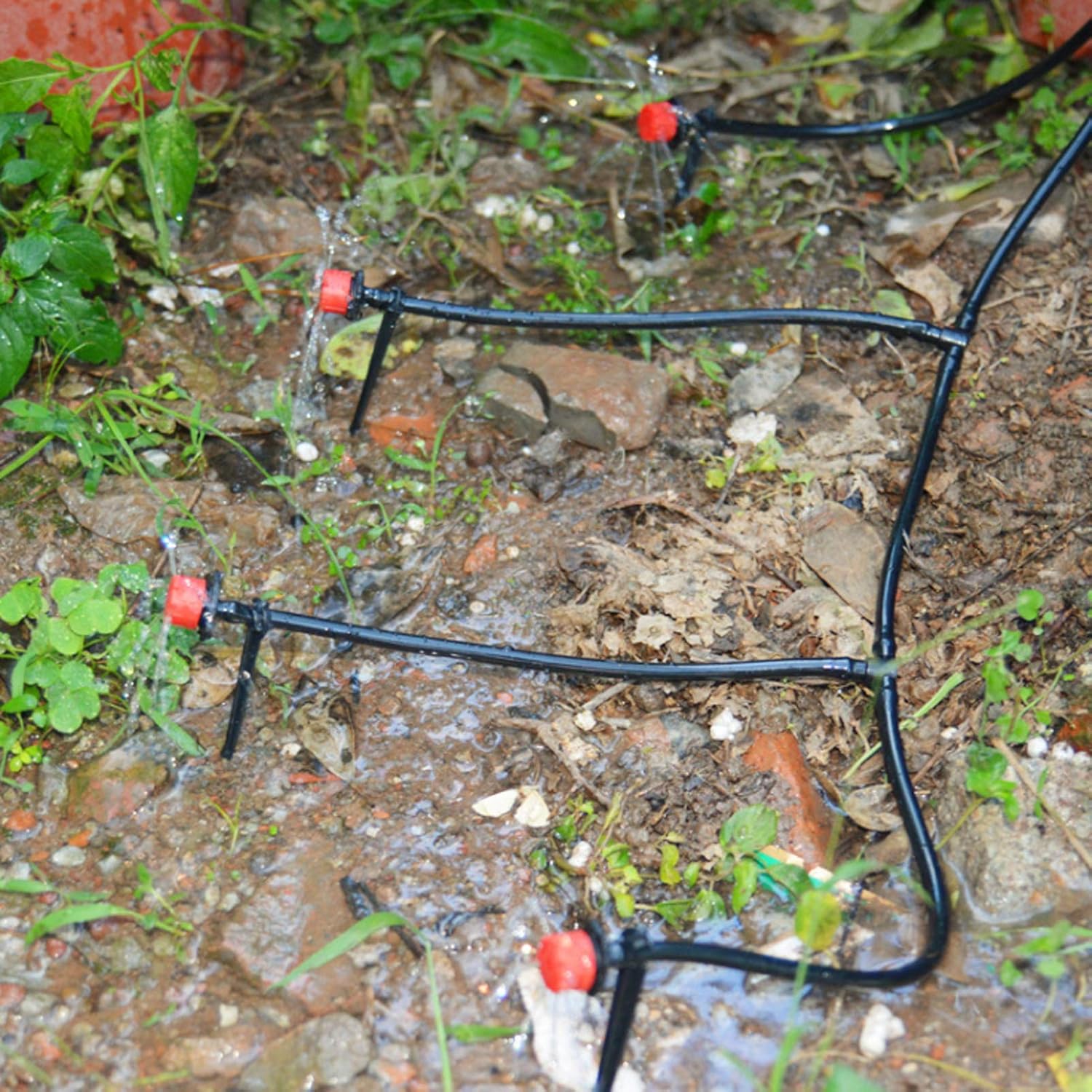 Garden Watering Hose Drip Irri - огляд і ціна Bonsai Garden Youtube
