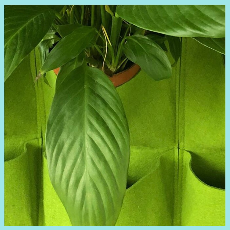 36 Pockets Vertical Wall-mount - огляд і ціна Bonsai Vertical Garden