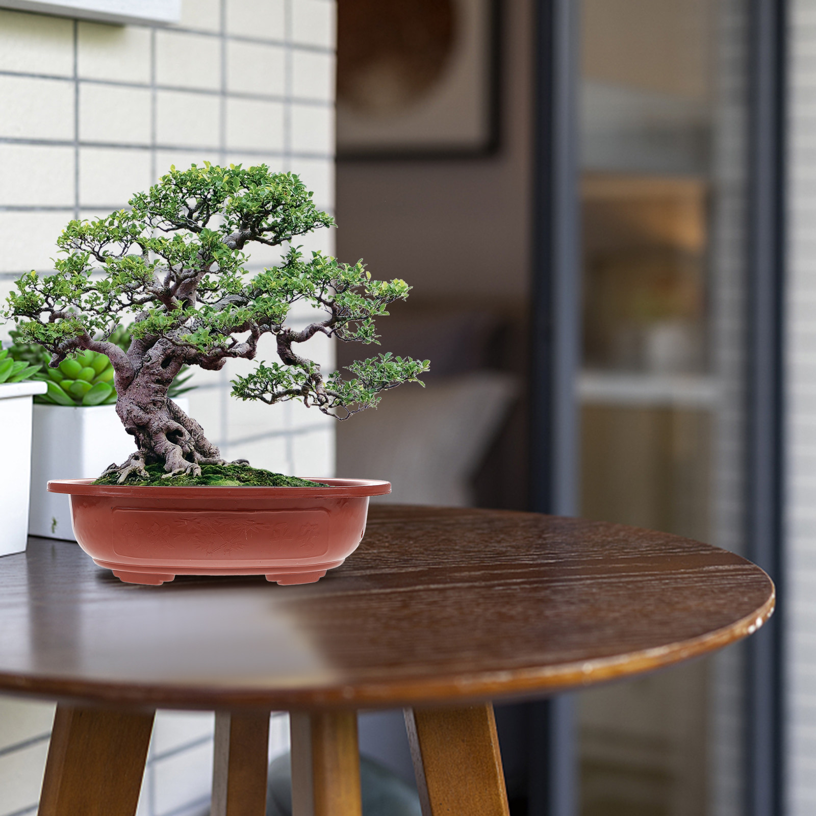 4Pcs Thickened Plastic Bonsai  - огляд і ціна Bonsai Vertical Garden