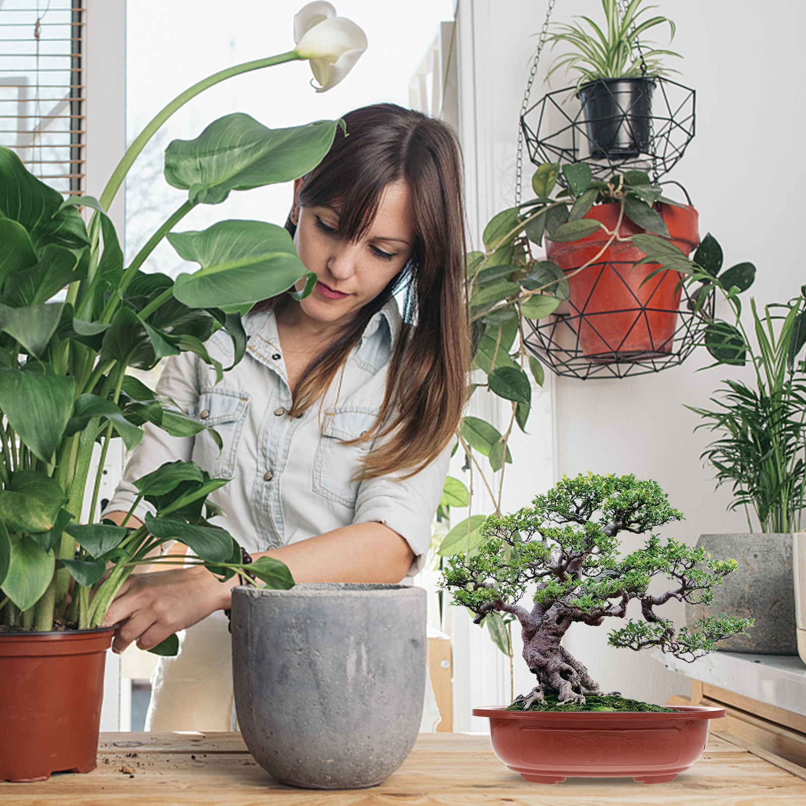 4Pcs Thickened Plastic Bonsai  - огляд і ціна Bonsai Vertical Garden