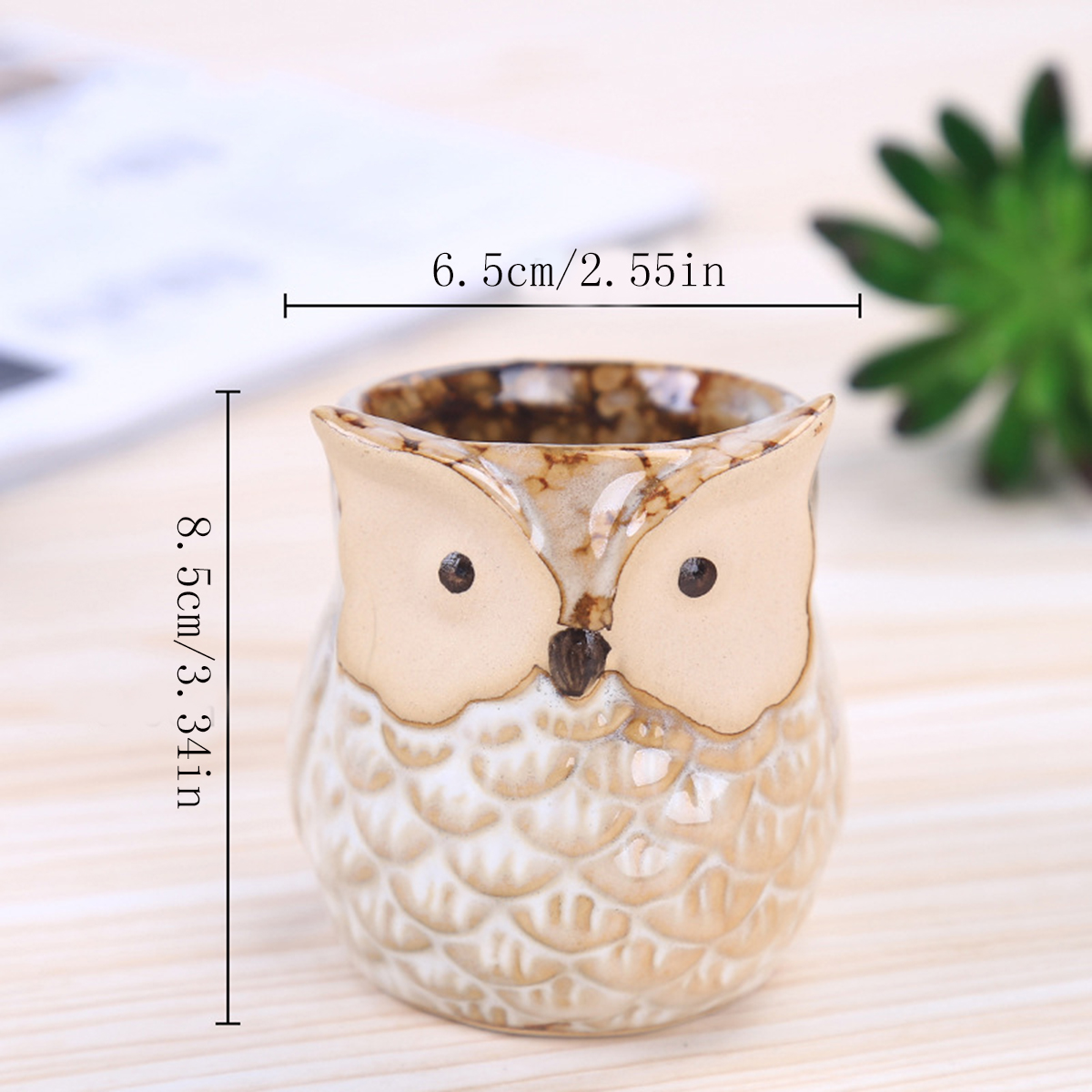 Home Garden Supplies Decoratio - огляд і ціна Mini Bonsai Zen Garden