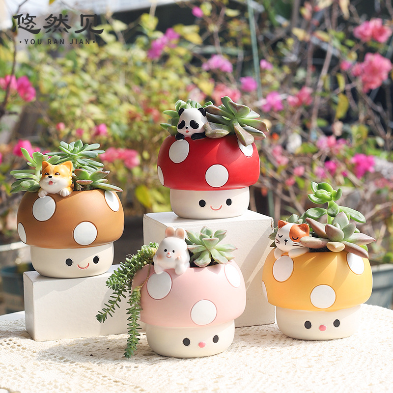 Cartoon Cute Mushroom Succulen - огляд і ціна Bonsai Garden Youtube