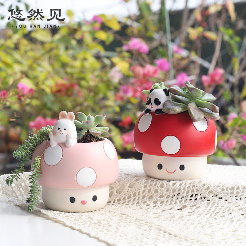 Cartoon Cute Mushroom Succulen - огляд і ціна Bonsai Garden Youtube