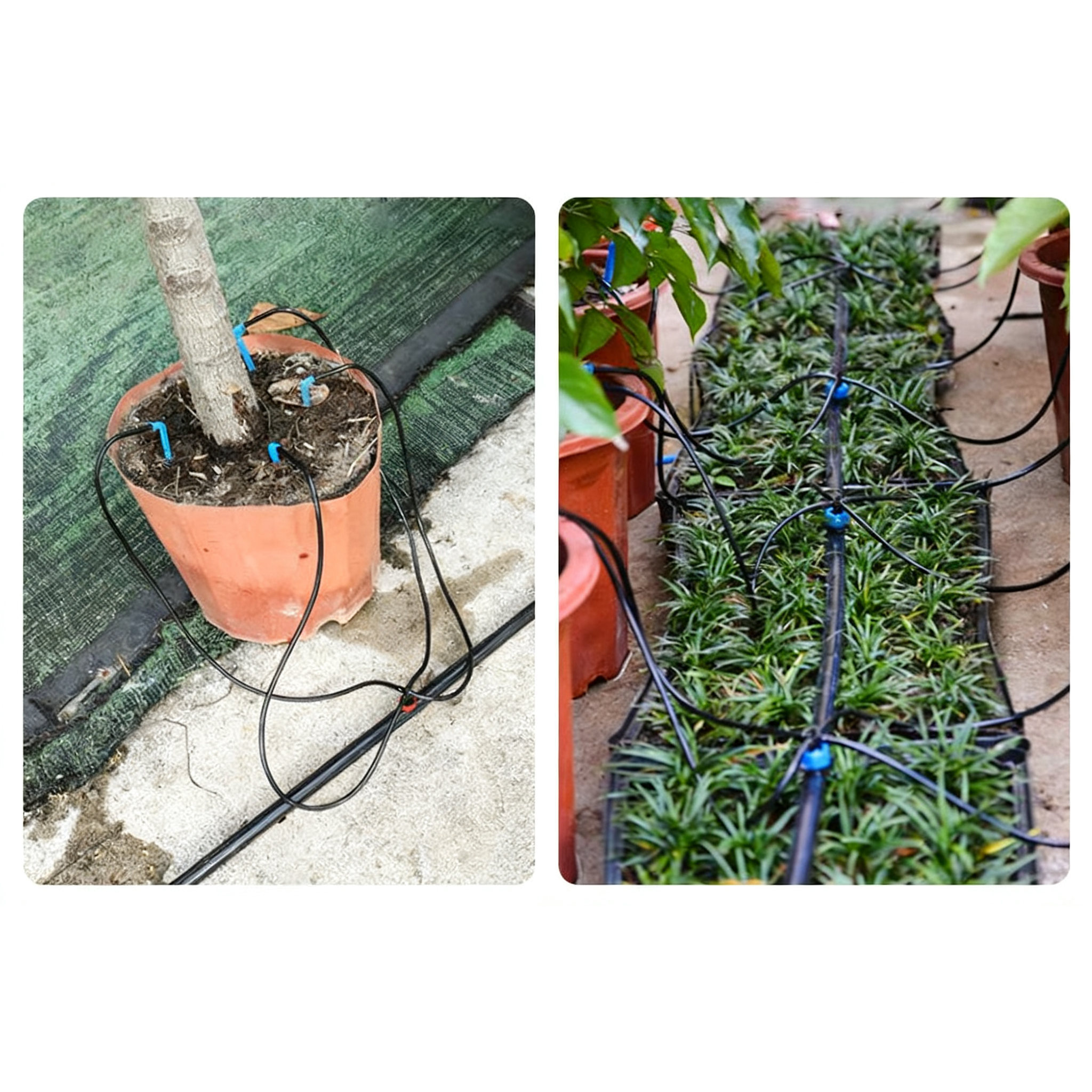 10m 3/5mm Micro Drip Irrigatio - огляд і ціна Bonsai Garden Youtube