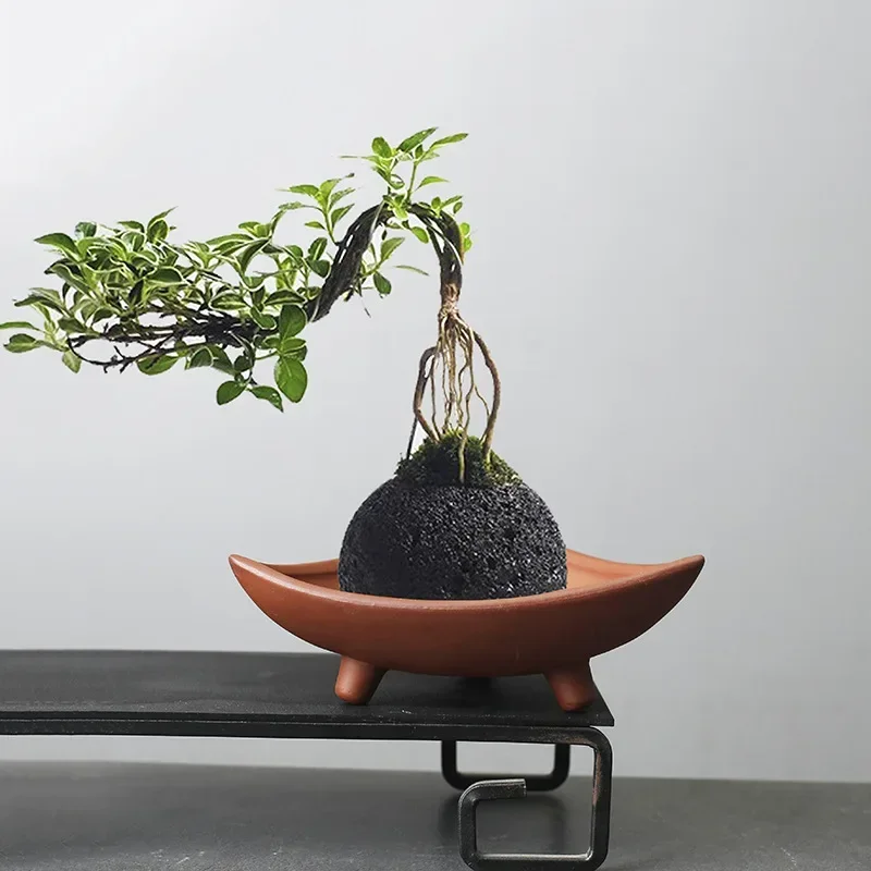 Personalized Ceramic Flower Po - огляд і ціна Mini Bonsai Zen Garden