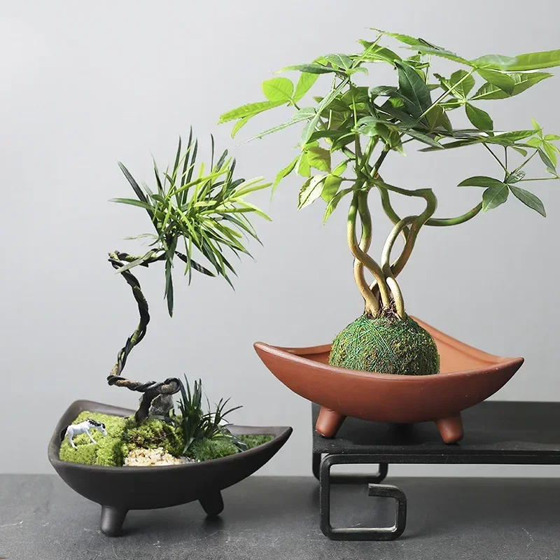 Personalized Ceramic Flower Po - огляд і ціна Mini Bonsai Zen Garden
