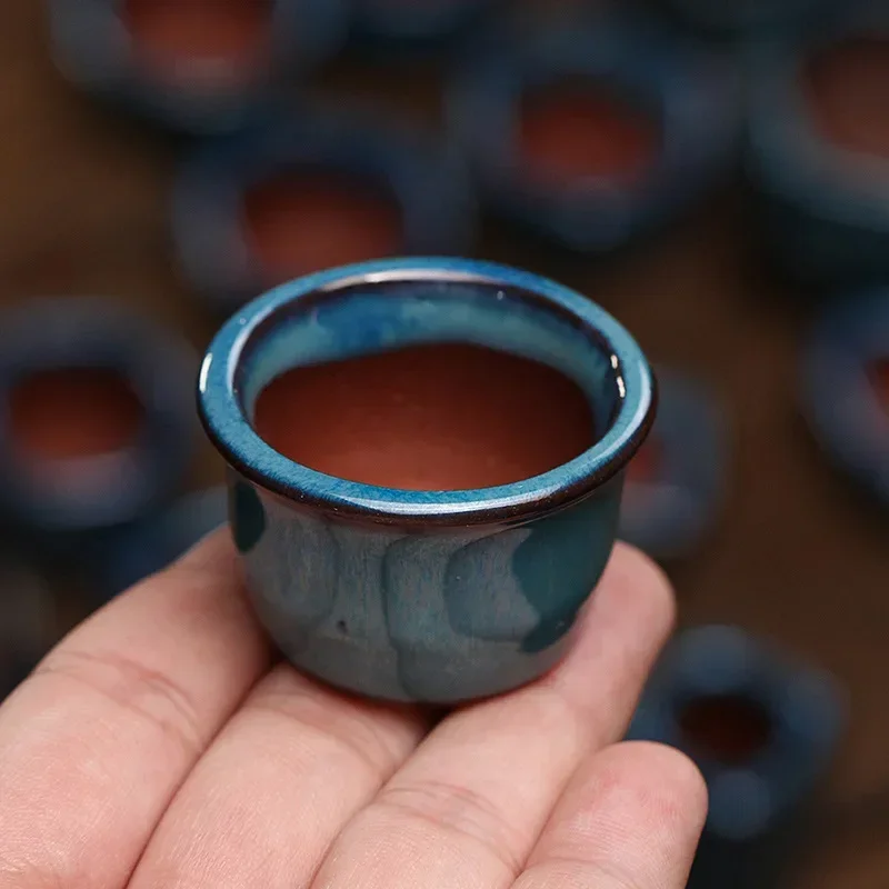 Succulent thumb flowerpot, pur - огляд і ціна Mini Bonsai Zen Garden