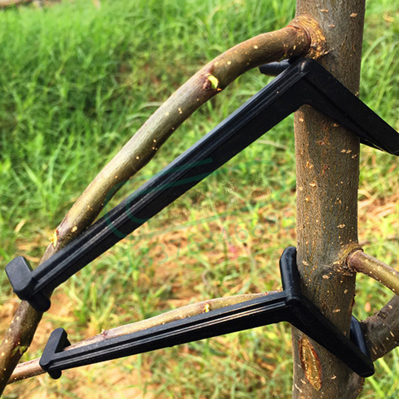 10-30Pcs Fruit Tree Clips Plan - огляд і ціна Bonsai Garden Accessories