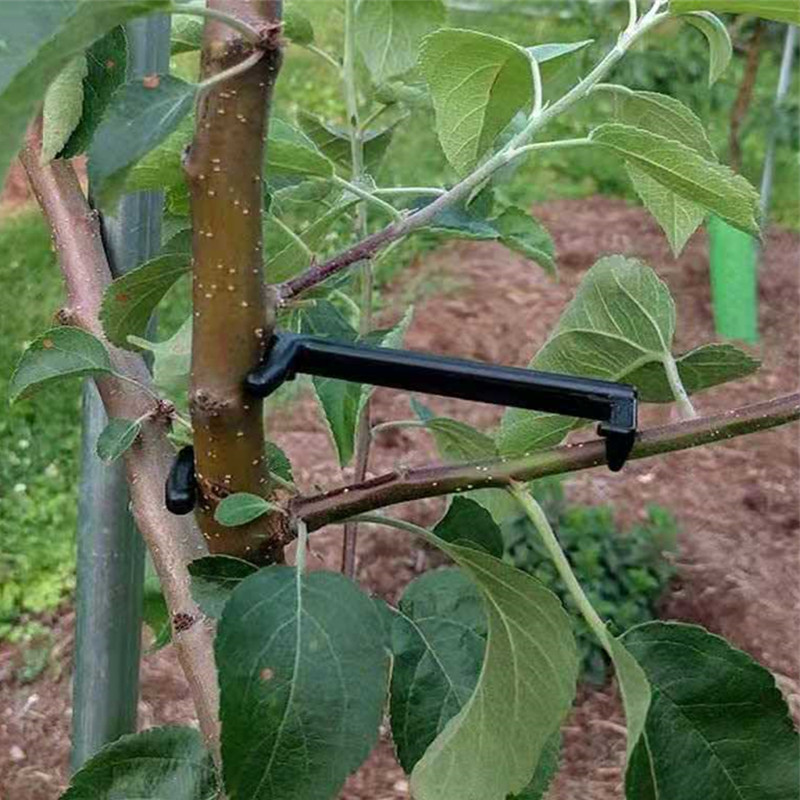 10-30Pcs Fruit Tree Clips Plan - огляд і ціна Bonsai Garden Accessories