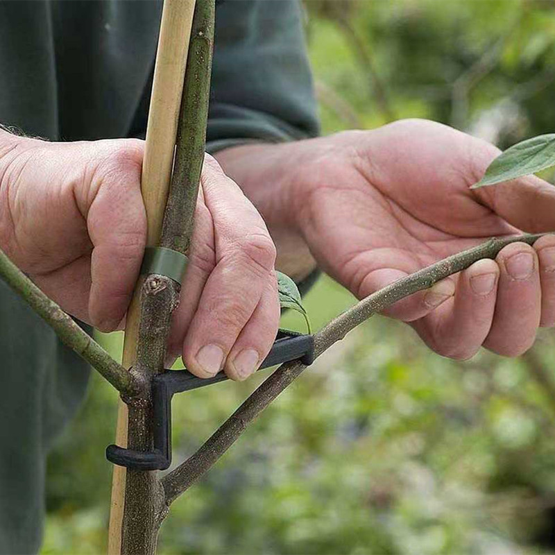 10-30Pcs Fruit Tree Clips Plan - огляд і ціна Bonsai Garden Accessories