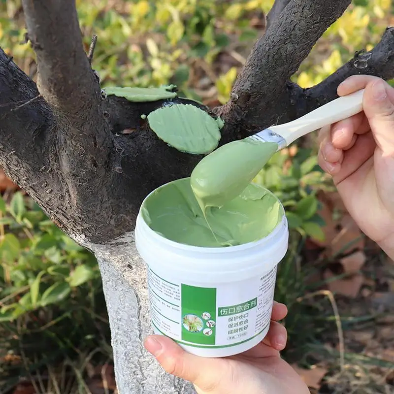 Tree Wound Bonsai Cut Paste Pl - огляд і ціна Bonsai Garden Accessories