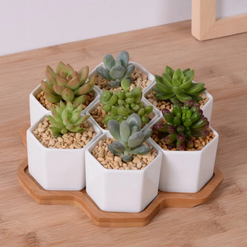 Set of 4/7/9/10 Hexagon Flower - огляд і ціна Mini Bonsai Zen Garden