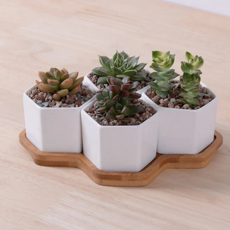 Set of 4/7/9/10 Hexagon Flower - огляд і ціна Mini Bonsai Zen Garden
