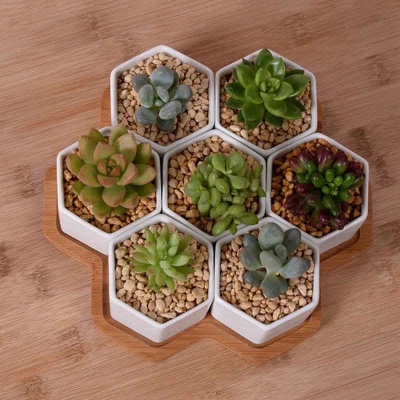 Set of 4/7/9/10 Hexagon Flower - огляд і ціна Mini Bonsai Zen Garden