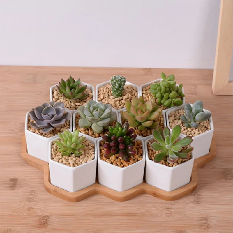 Set of 4/7/9/10 Hexagon Flower - огляд і ціна Mini Bonsai Zen Garden