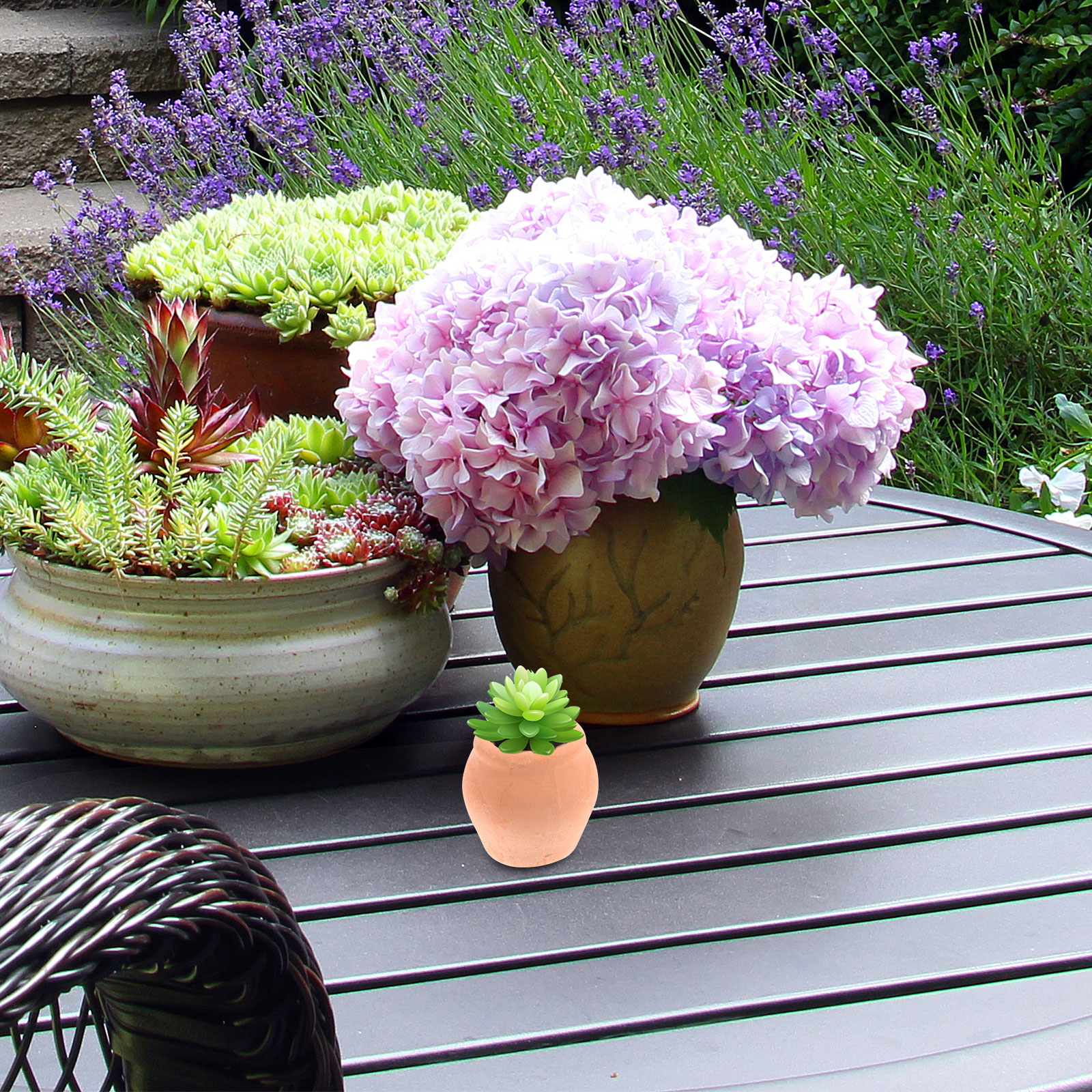 Mini Ceramic Flower Pot Plante - огляд і ціна Mini Bonsai Zen Garden