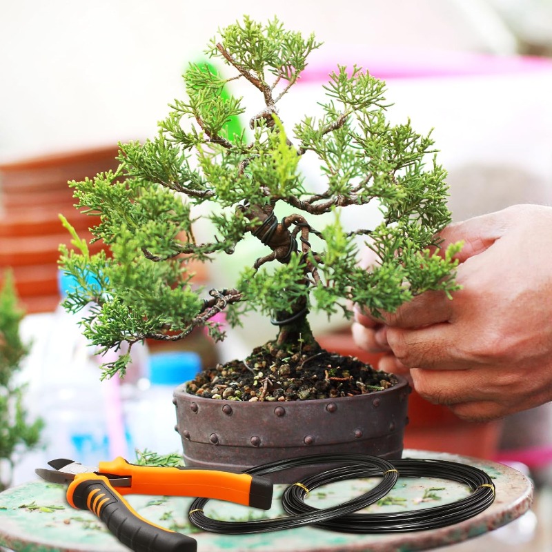 1-3mm Bonsai Wires Aluminum Pl - огляд і ціна Bonsai Garden Accessories