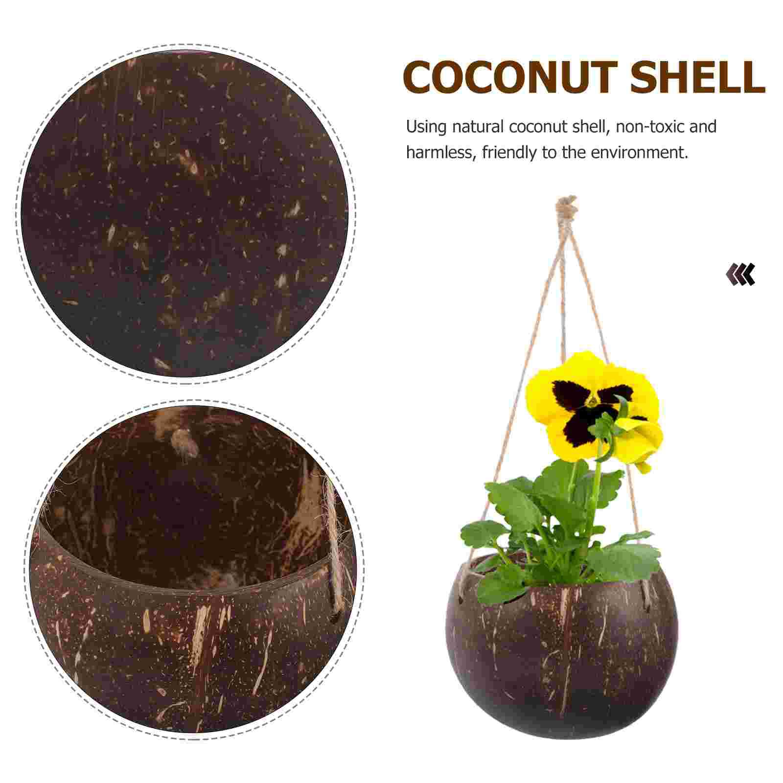 Large Hanging Planter Coconut  - огляд і ціна Mini Bonsai Zen Garden