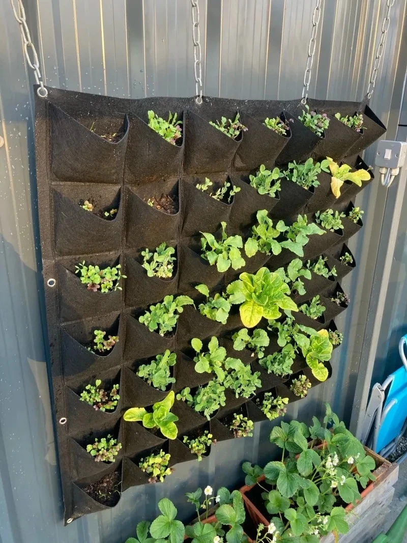 Wall Hanging Planting Bag Mult - огляд і ціна Bonsai Vertical Garden