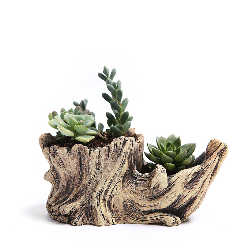 Succulent Flower Pot Wood Tree - огляд і ціна Mini Bonsai Zen Garden